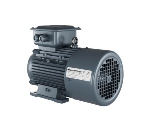 Асинхронный двигатель Prompower 1LE9, 315 кВт, 1500 об/мин, 380/660 В, 1LE90033BB633AA4