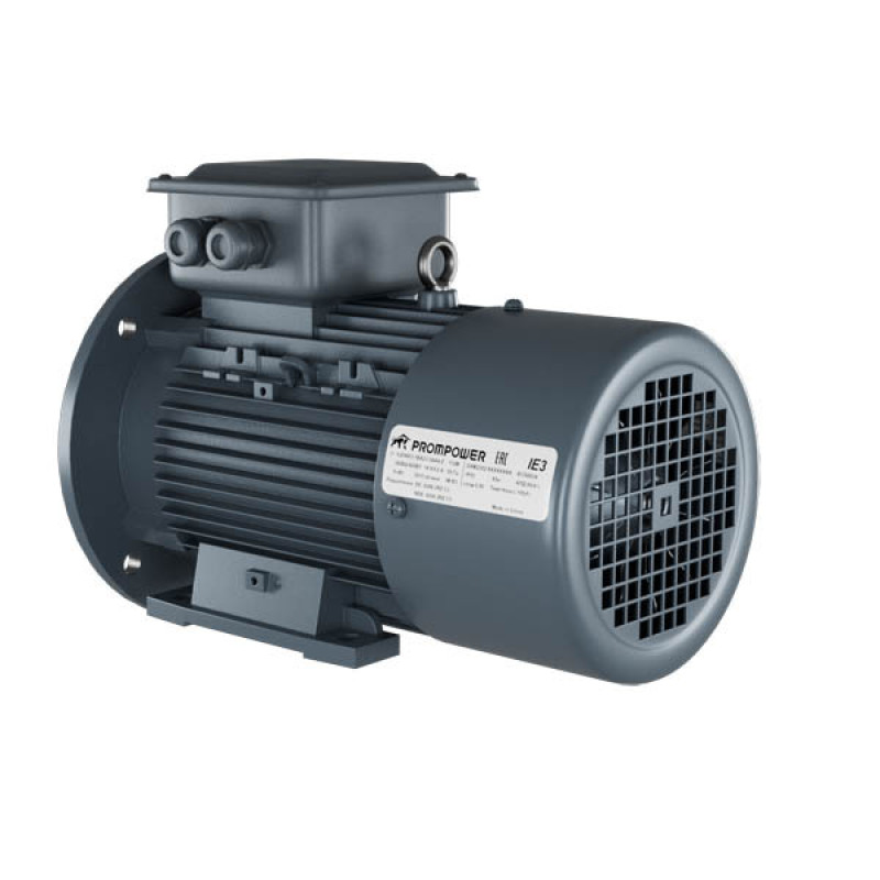 Асинхронный двигатель Prompower 1LE9, 110 кВт, 750 об/мин, 380/660 В, 1LE90033AD633JA4