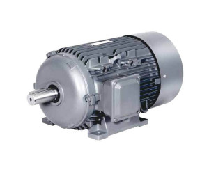 Асинхронный двигатель Prompower 1LE9, 15 кВт, 1500 об/мин, 380/660 В, 1LE93031DB433FB4
